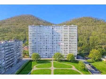 spacieux appartement 3 chambres