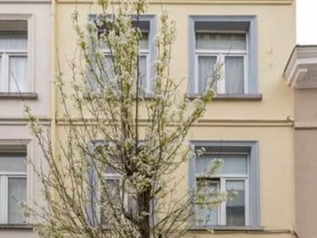 immeuble de rapport avec commerce près de bruxelles