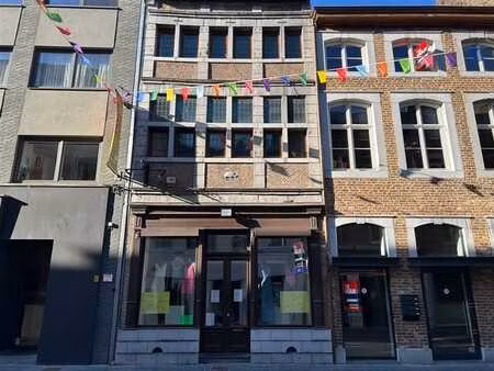 stijlvolle handelsruimte met bovenliggende woonst  stadstuin