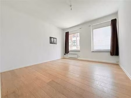 studio cosy et lumineux! a visiter !!!