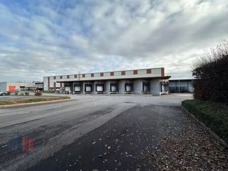 logistiek magazijn van 8.955 m² te huur