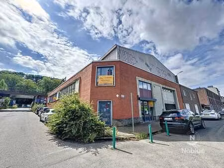 verviers immeuble multifonctionnel à vendre