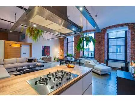 loft industriel de caractère idéalement situé à lot