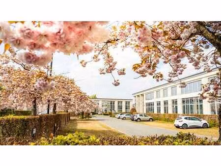 686 m² bureaux élégants près de la chaussée de louvain