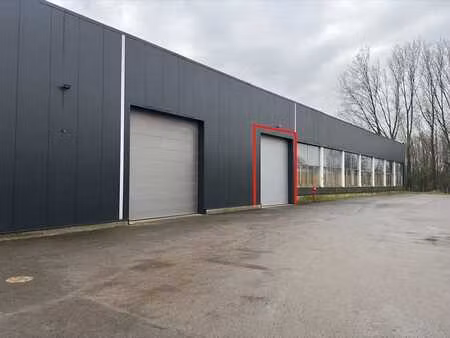 à louer : entrepôt rénové de +/- 1300 m² à dilbeek