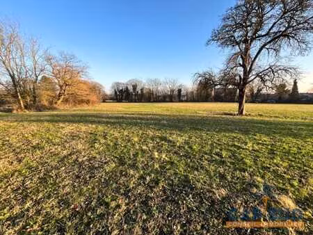 terrain à vendre à monceau-sur-sambre