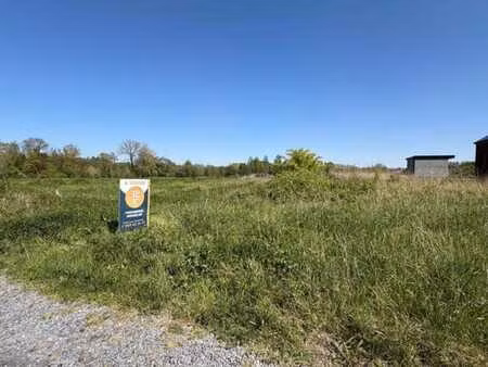 superbe terrain à bâtir à blaugies