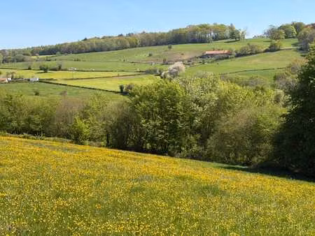 3408m² à bâtir à stembert - vue au sud sur campagnes
