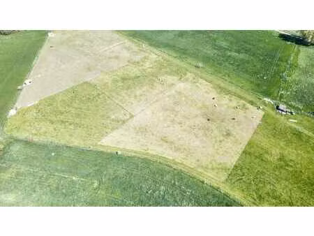 terre agricole de ± 4 hectares – potentiel d’exploitation !