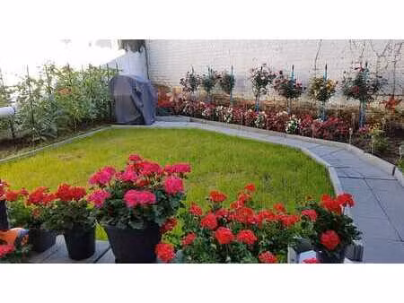 appartement 1 chambre avec jardin à evere