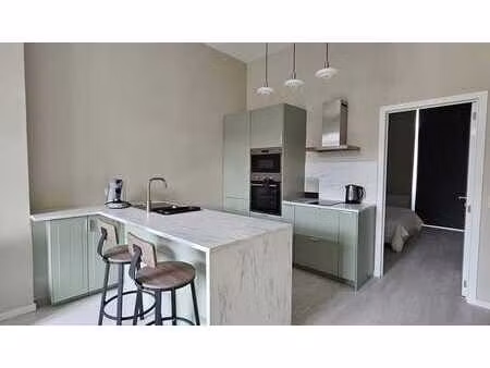 bel appartement rénové 1 chambre meublé