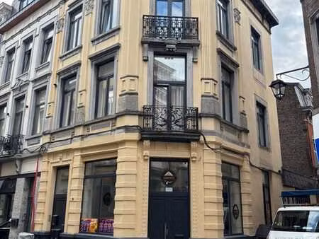 appartement 1 chambre en plein centre-ville