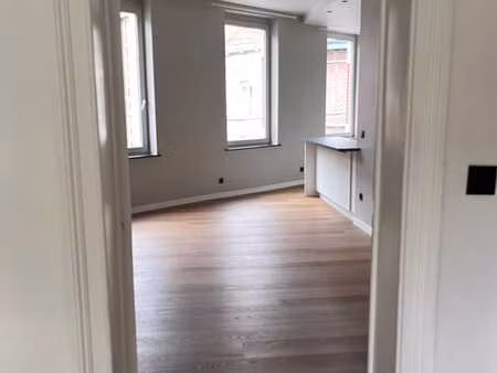 appartement 1 ch liège centre