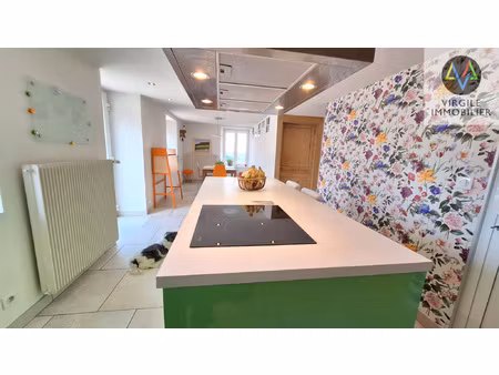 grande maison avec revenus locatifs et fort potentiel