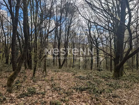 bois à vendre 2 4 hectare à moustoir ac