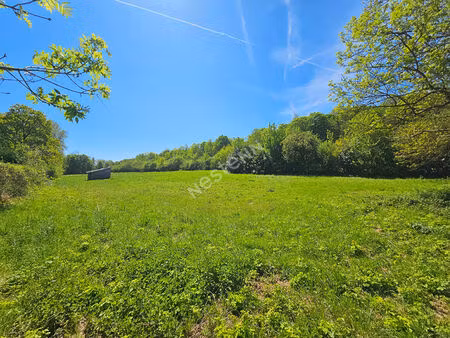 terrain de loisir à brignancourt - 4 393m² avec box existant et viabilisation possible