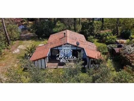 maison avec piscine et terrasse moliets-et-maa (40)