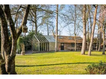 terrain à bâtir sur une parcelle verdoyante