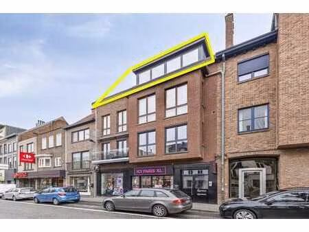 instapklaar  ruim en lichtrijk appartement met absolute t...