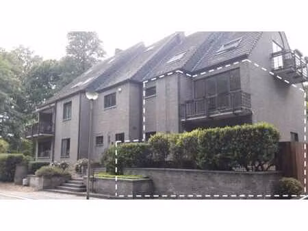 appartement spacieux au bord de la forêt de soignes
