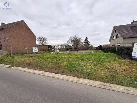 terrain à vendre avec permis et plans à lierde.