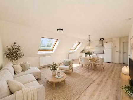 lichtrijk  gerenoveerd éénslaapkamer appartement in zottegem