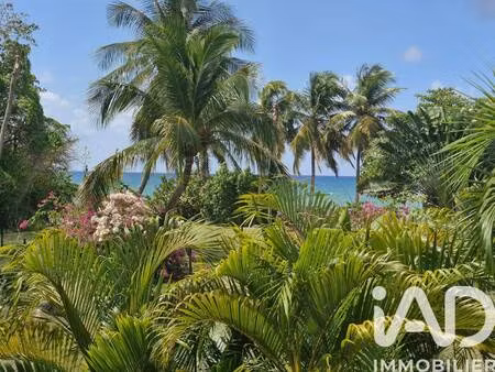 iad france severine cau