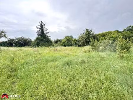 vente terrain à nalliers (85370) : à vendre / 596m² nalliers
