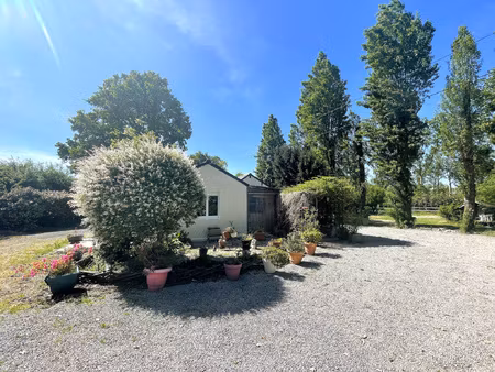 mouzeil - maison en campagne sur 8580 m2 de terrain