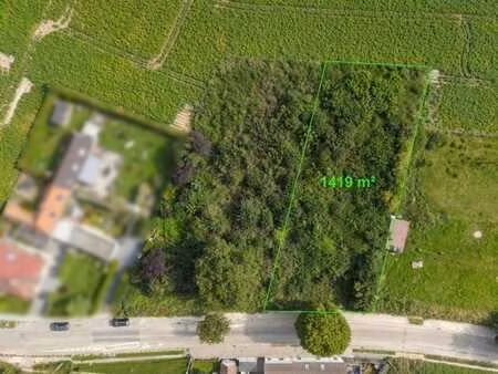 tournai lot 1 (loju)