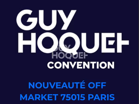 appartement 4 pièces avec balcon paris 15 - convention