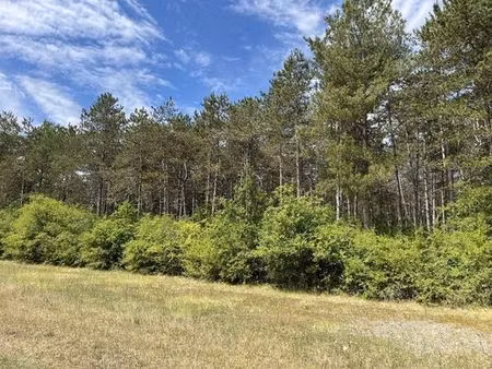 terrain de 1220000 m2 - nogent-sur-vernisson  france