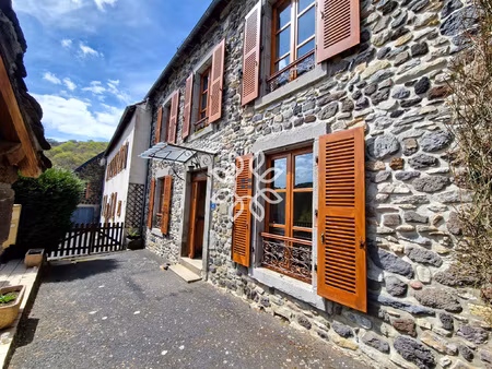 achat maison 7 pièces 155m² peyrusse 15170