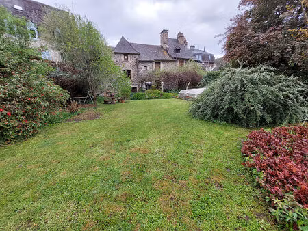 maison de caractère en pierre - jardin & piscine