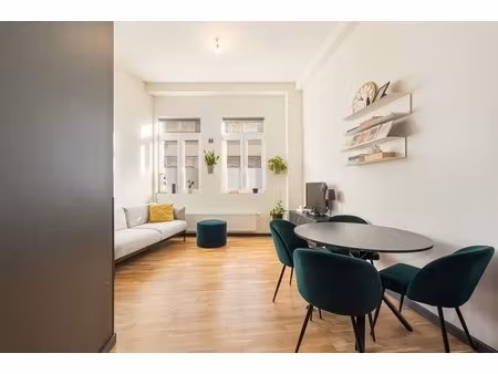 recent gerenoveerd gelijkvloers met terrasje