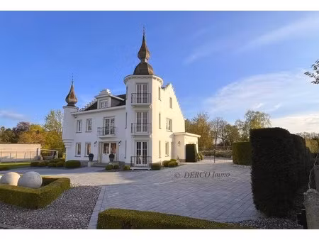 klasse villa met bijzondere uitstraling (momenteel privé + kantoren + kangoeroewoning)