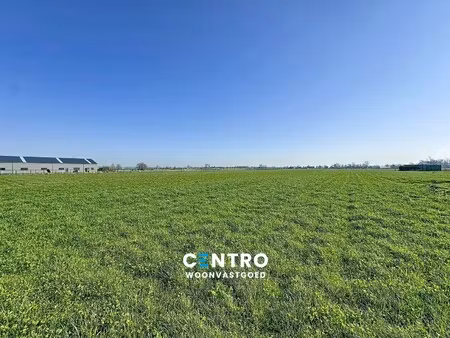 4 5 hectare grond met 1 hectare bouwvlak!