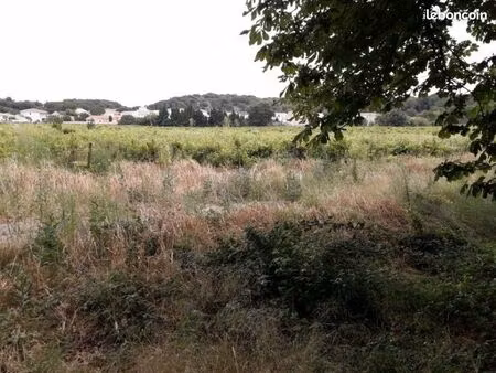 terrain 561 m² bizanet