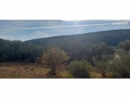 terrain 1 136 m² bize minervois