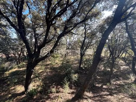 terrain de 1 572 m² à saze