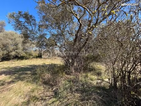 terrain 854 m² saze