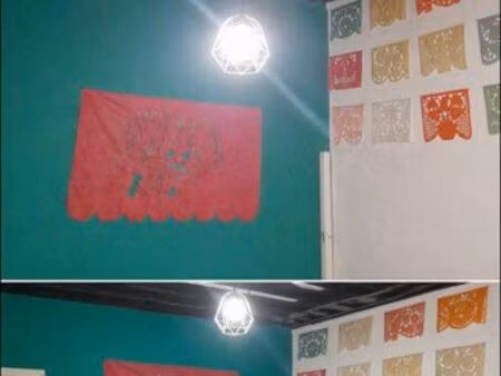 appartement 67m2 canut haut plafond