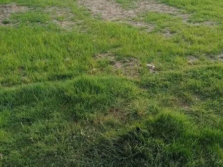 terrain 210 m² riantec