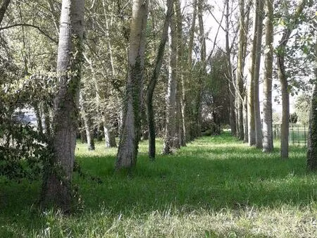 terrain de loisirs bord de loir