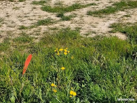 terrain 560 m² landeda