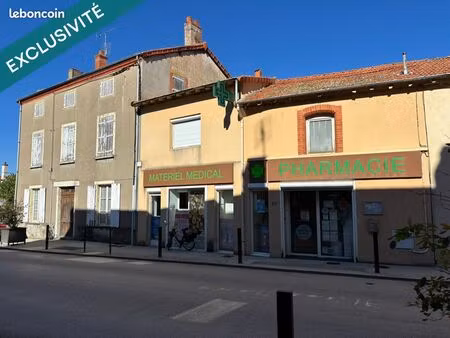 immeuble 330 m² la pacaudiere