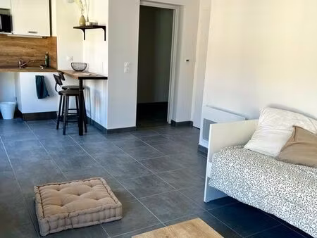 studio pau centre ville