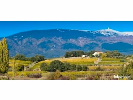 recherche location t3