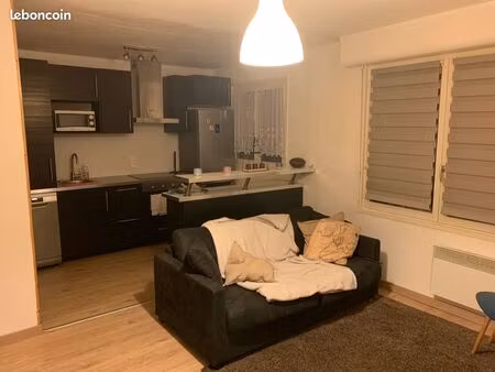 appartement vieux lille 875 - disponible fin mai