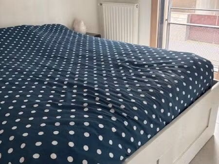 appartement t2 lyon 2